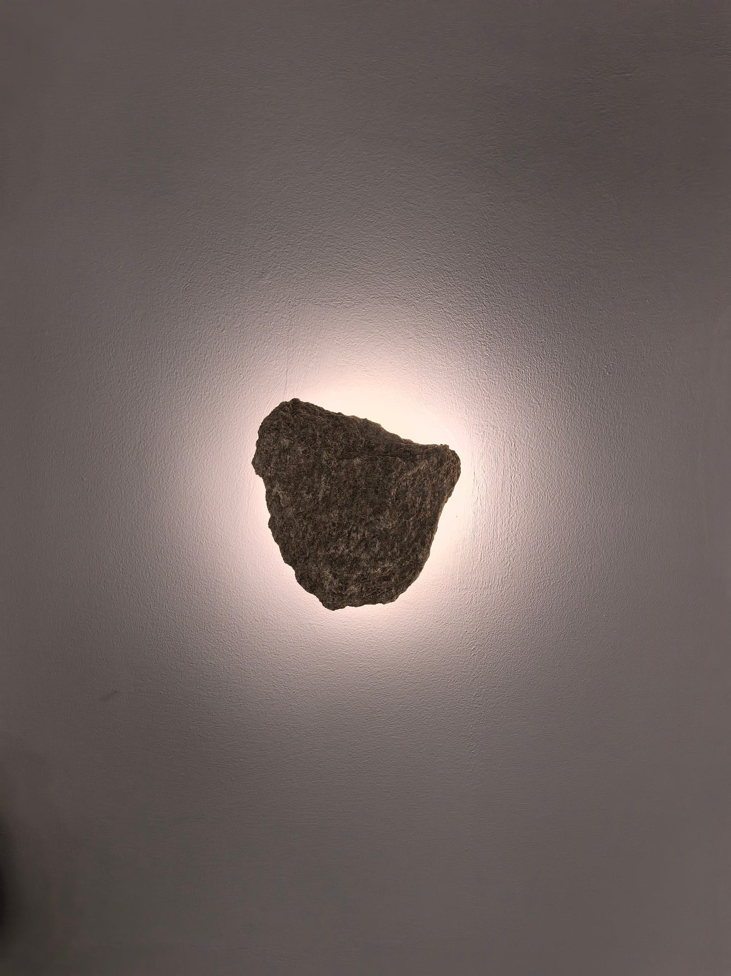 Botanical Lumina Wall Lights - Image 1