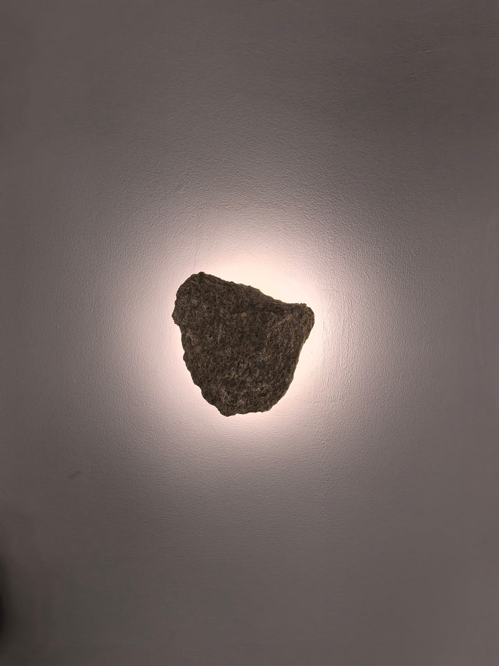 Botanical Lumina Wall Lights - Image 1