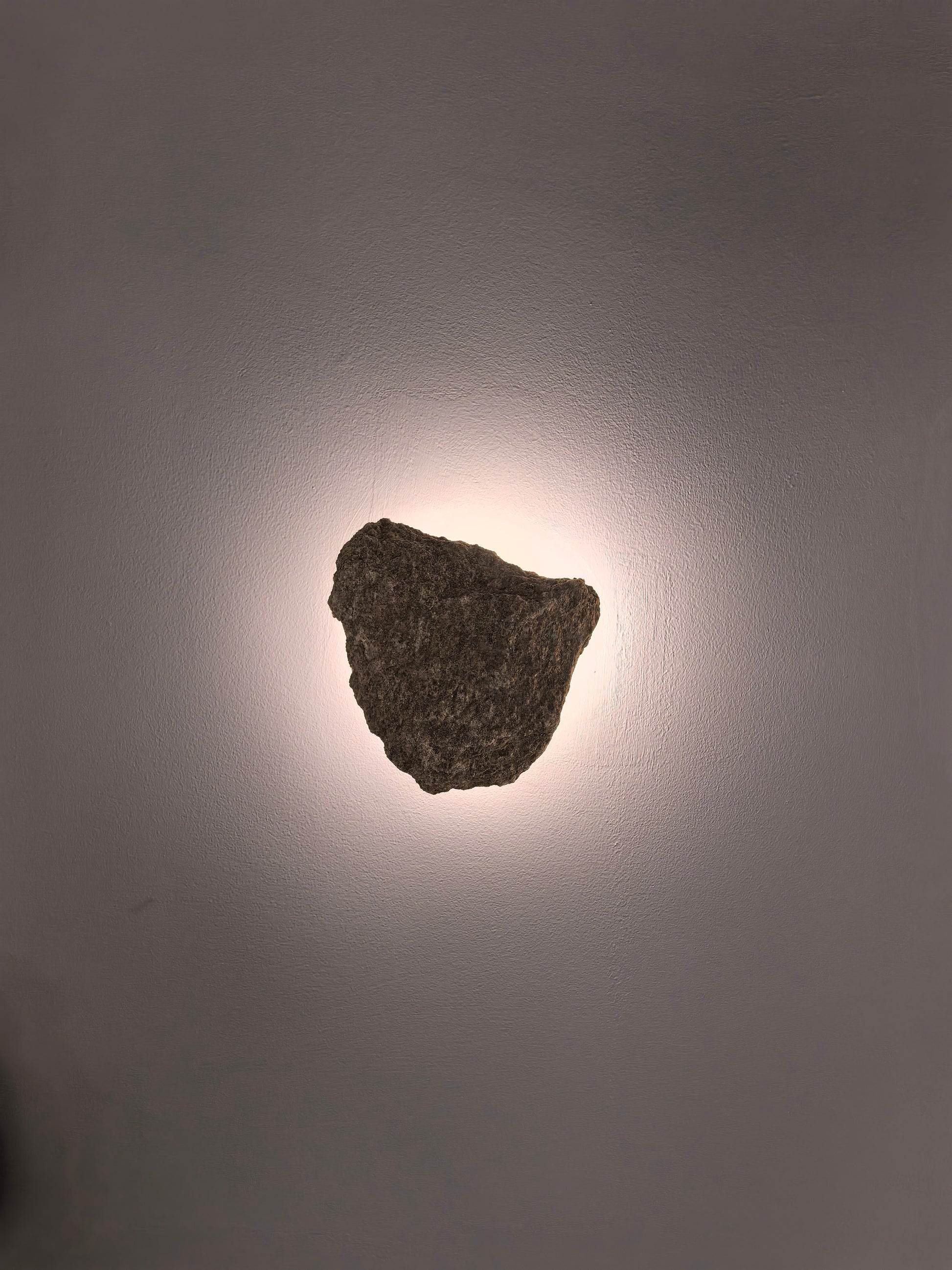 Botanical Lumina Wall Lights - Image 1