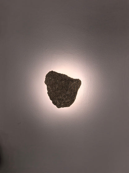 Botanical Lumina Wall Lights - Image 1
