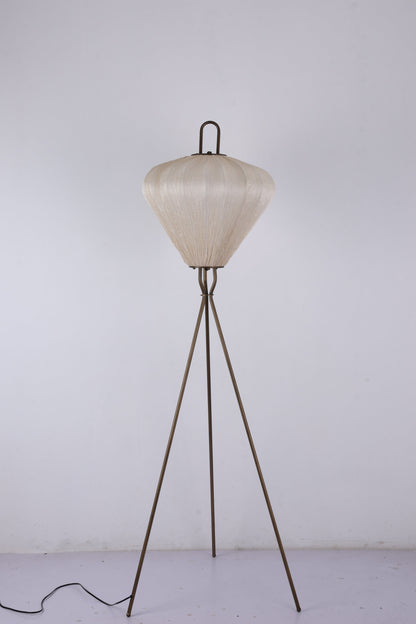 Renaissance Lumina Floor Lamps - Image 3